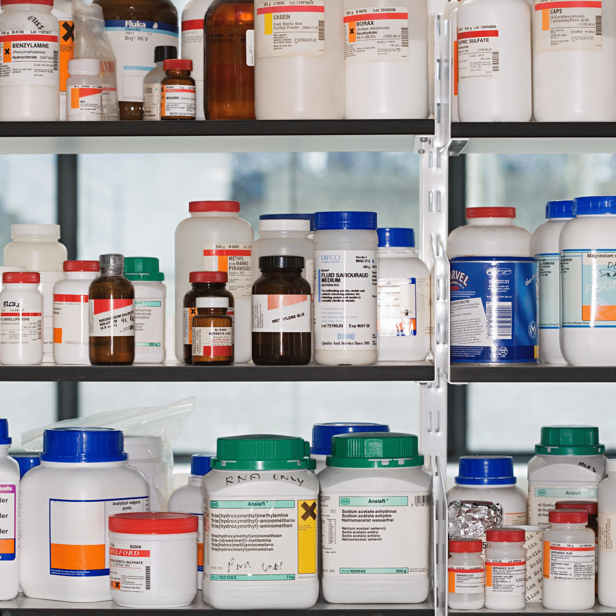 Training Employees on Chemical Safety In Australia image