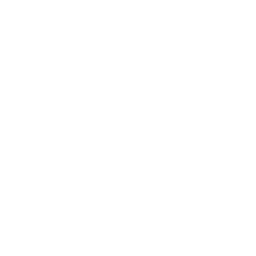 presentation