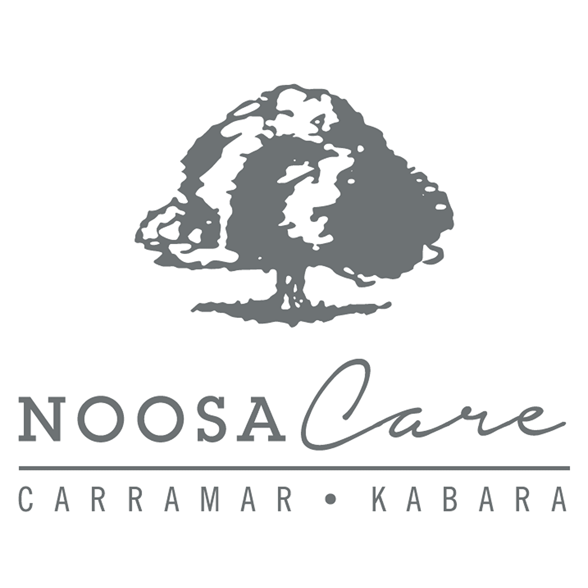 NoosaCare logo