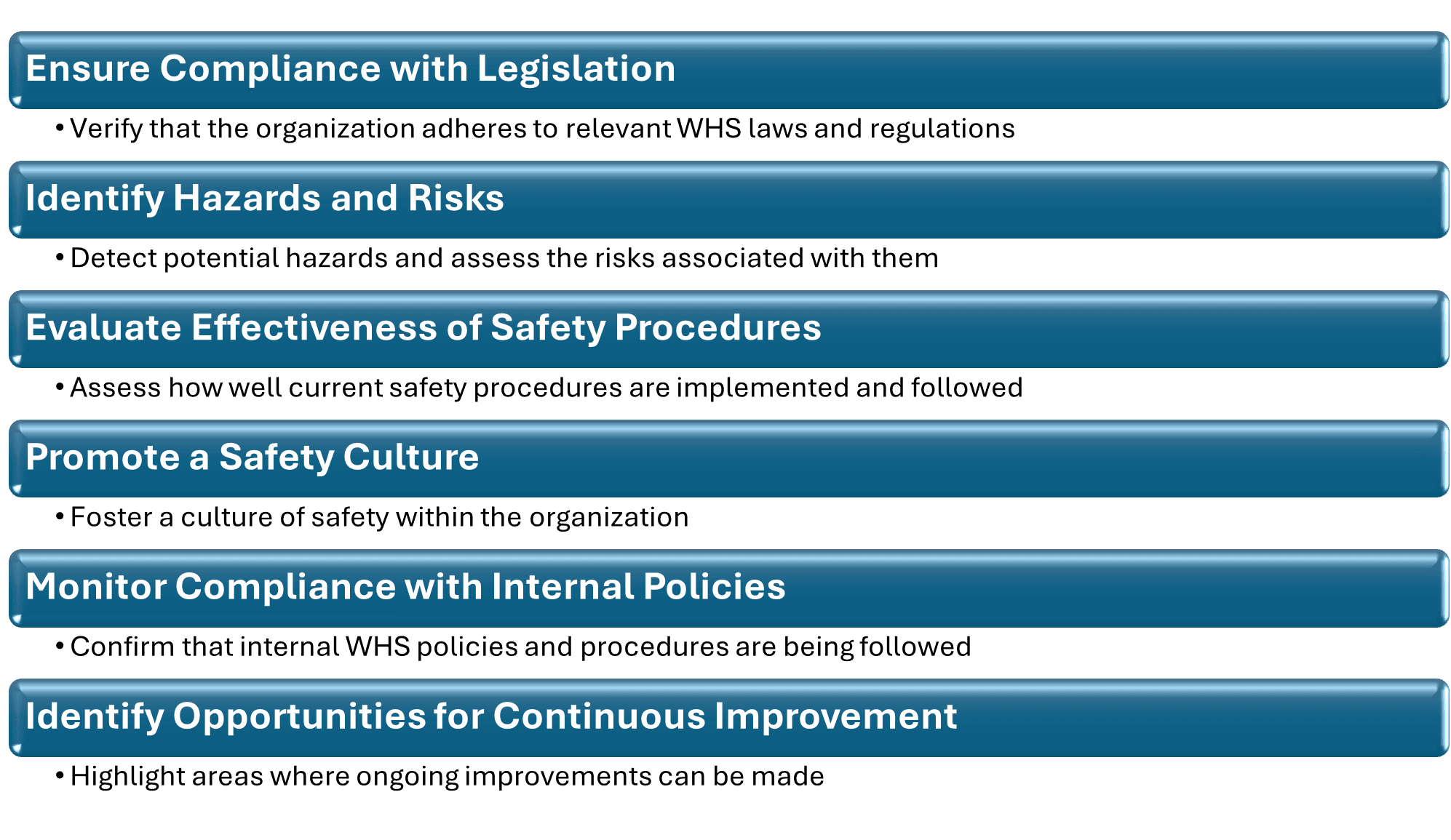 WHS Audit Objectives