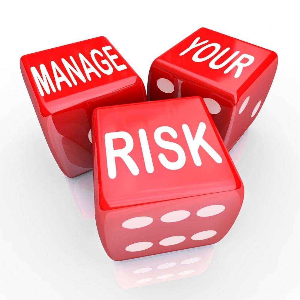 WHS Management Systems & Auditing Guidelines