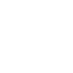 presentation