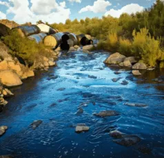 Chemicals in the environment