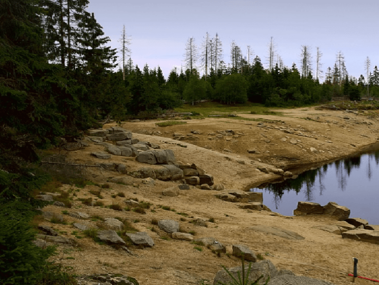 Catchment Solutions – WHS Regulations Audit