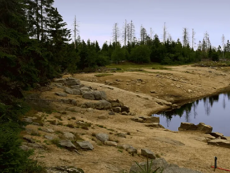 Catchment Solutions – WHS Regulations Audit