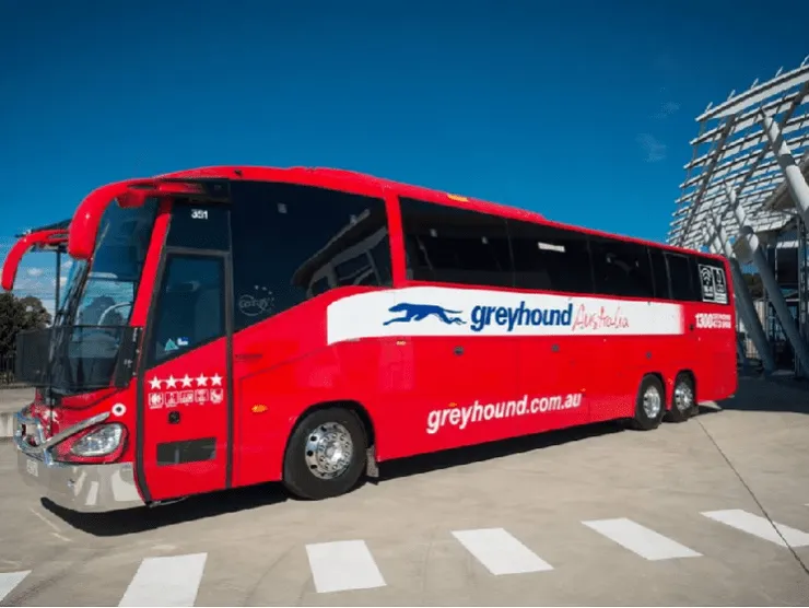 Greyhound Australia – WHS Regulations Audit