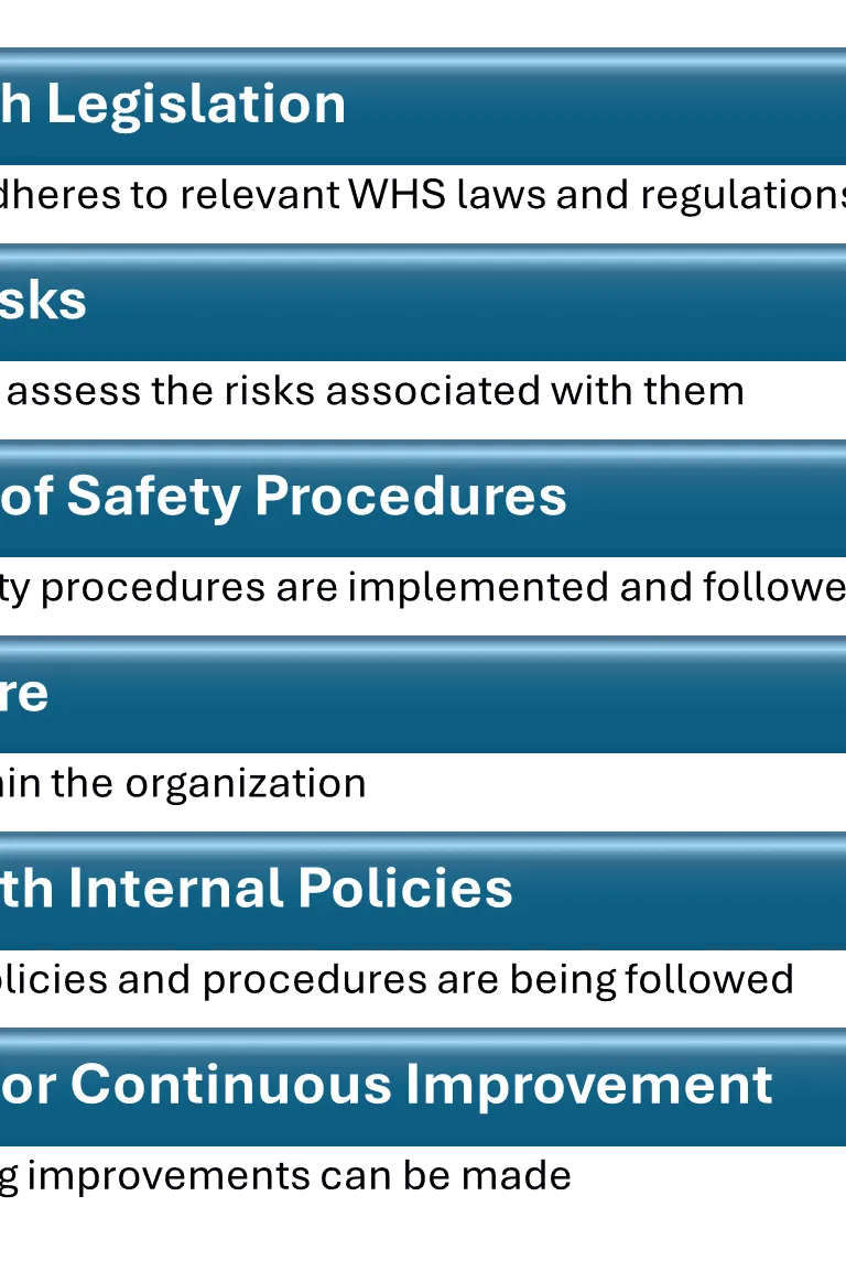 WHS Audit Objectives
