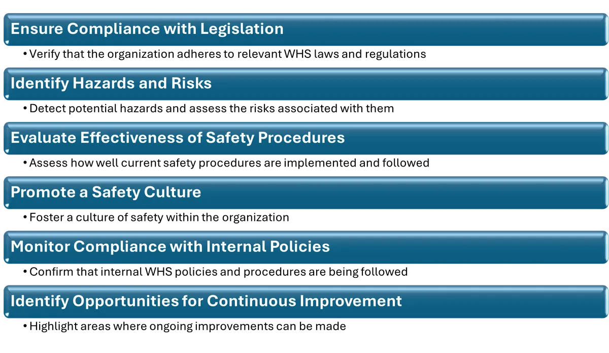 WHS Audit Objectives
